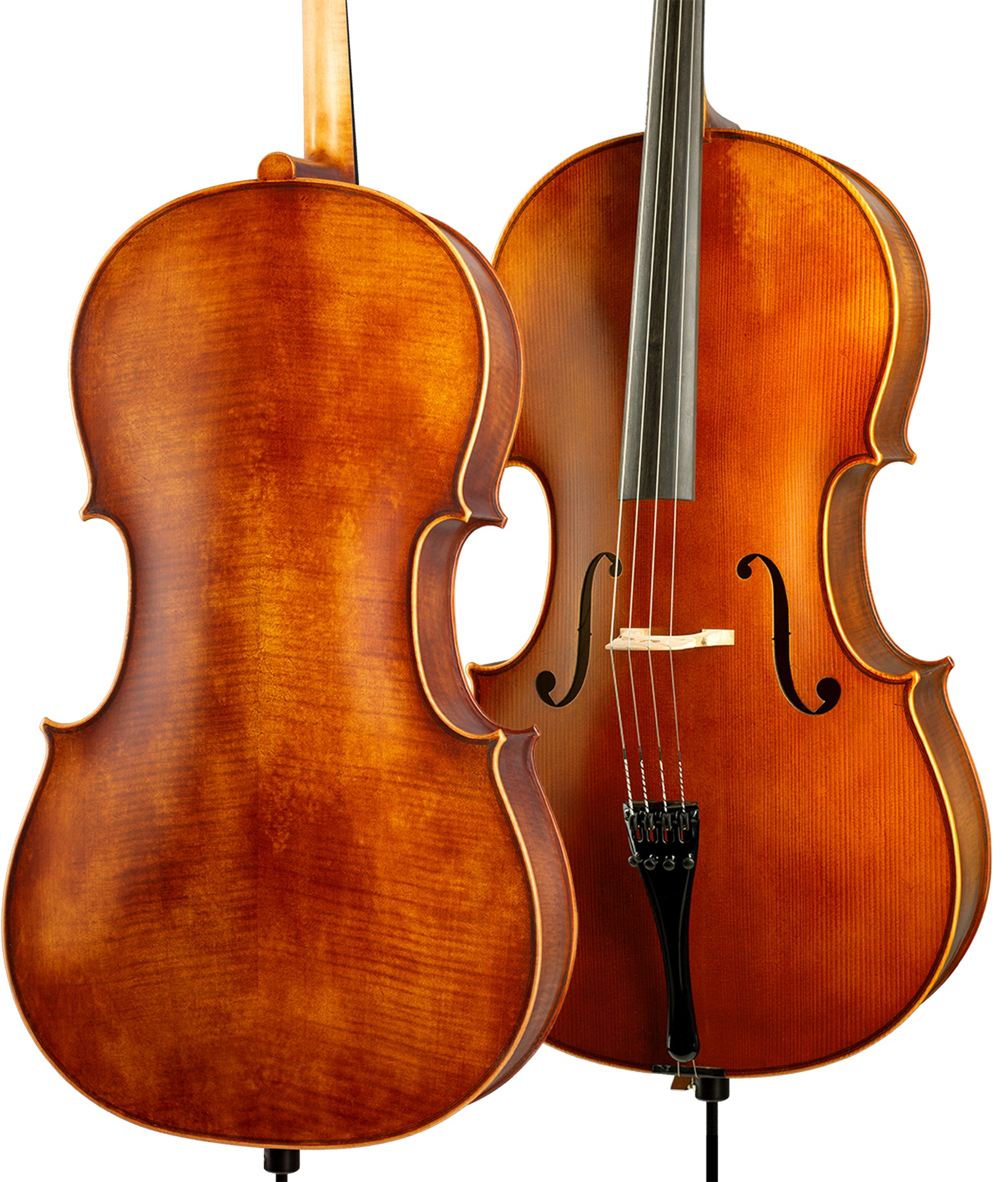 Paesold Cellos