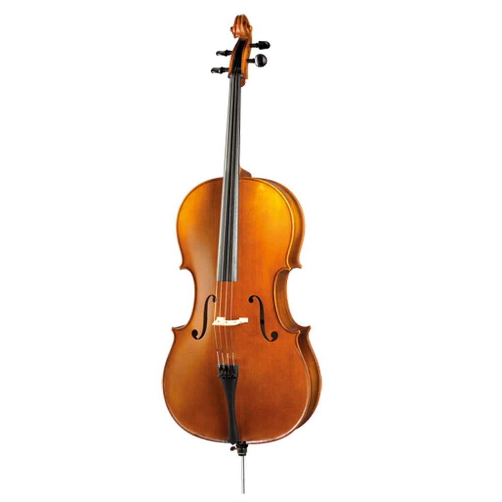 Paesold Cello