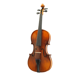 Paesold Quality Violin